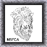 MSFGA