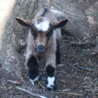 tttfarm.com