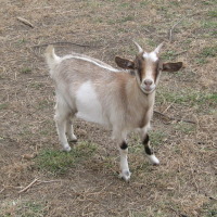 tttfarm.com