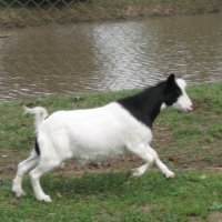 tttfarm.com
