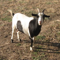 tttfarm.com