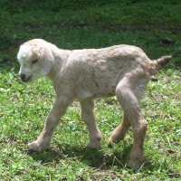 tttfarm.com
