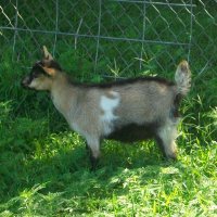 tttfarm.com