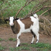 tttfarm.com