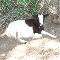 tttfarm.com