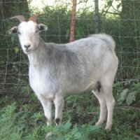 tttfarm.com