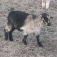 tttfarm.com