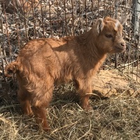 tttfarm.com
