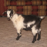 tttfarm.com