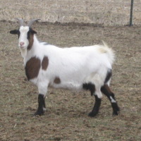 tttfarm.com