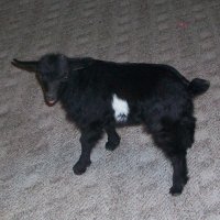 tttfarm.com
