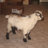 tttfarm.com