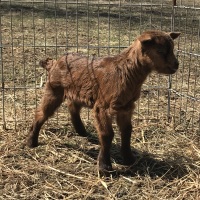 tttfarm.com