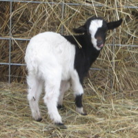 tttfarm.com