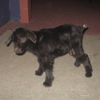 tttfarm.com
