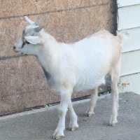 tttfarm.com