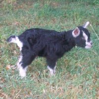tttfarm.com
